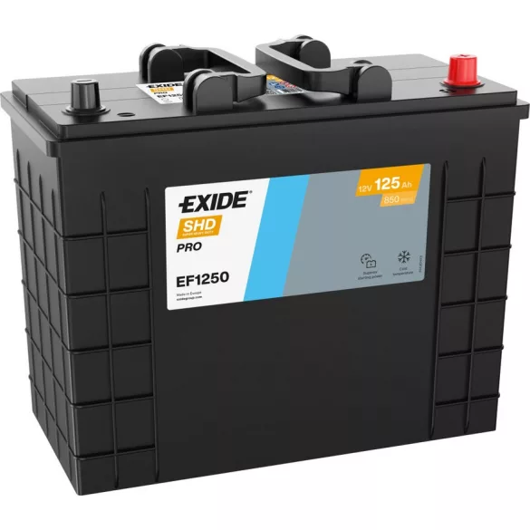 Exide SHD Power Pro 125Ah 850A Jobb+ Akkumulátor (EF1250)
